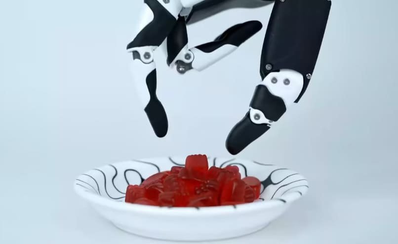 Applications of Dexterous Robotic Hands